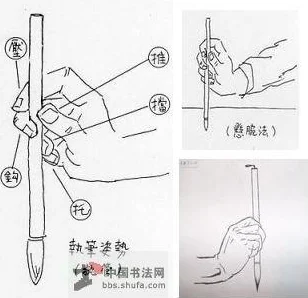 毛笔调教新手入门执笔训练已完成开始练习基本笔画