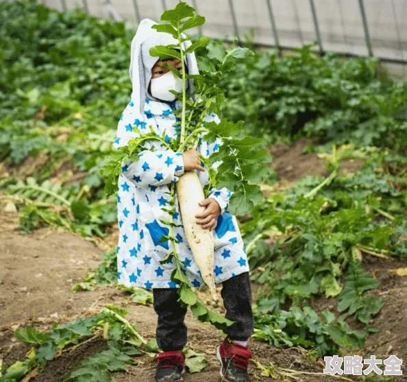 老师脱让学生摸拔萝卜活动因故暂停等待进一步通知