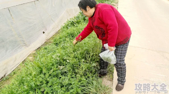 宝贝几天不见你水这么多网友好奇背后的原因和具体情况引发广泛讨论和关注