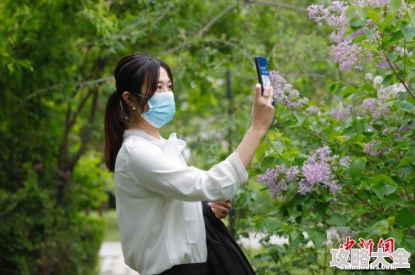 丁香婷婷六月天今夏花海绽放吸引游客纷至沓来