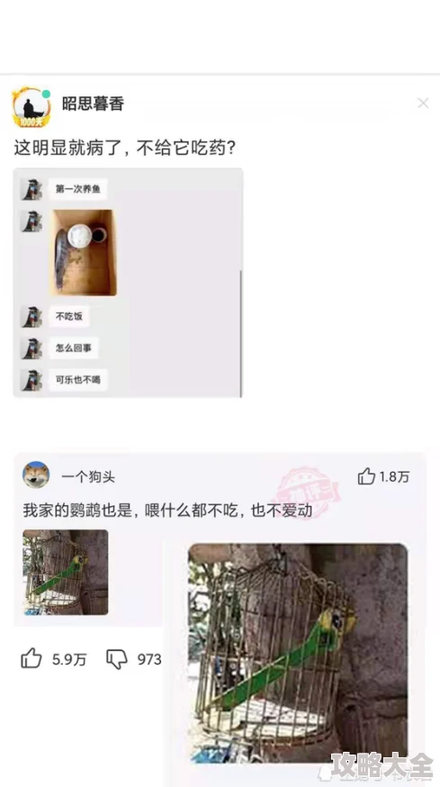 男人戳进女人里裸令人震惊的视频在网上疯传引发网友强烈谴责