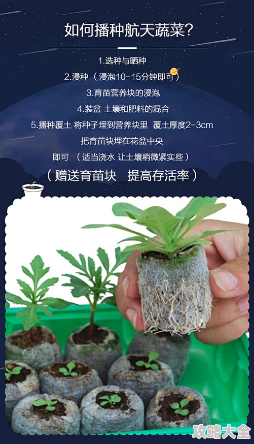 星际种植大师引领宇宙农业新浪潮开拓星际种植新时代