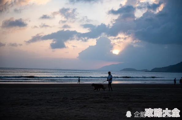 日出日出水来了太痒了原标题《海边度假》视频拍摄于XX海滩游客众多请勿模仿