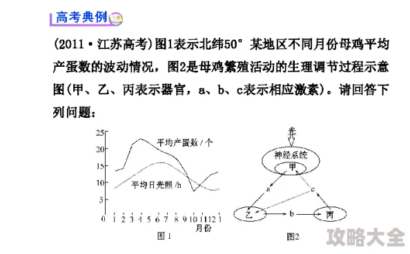 Writeas红肿双丘2025医学新突破非手术疗法有效缓解症状