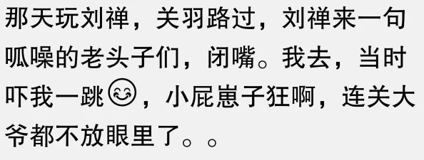 王者荣耀刘禅×孙尚香刘禅孙尚香AI智能皮肤语音包2025震撼来袭