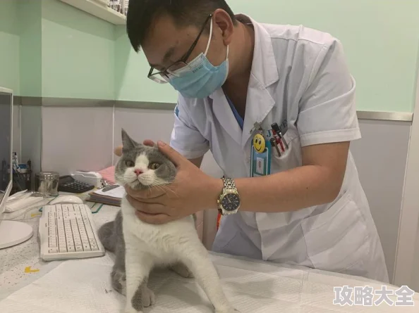 红猫大本猫营2025元宇宙吸猫大会盛大开幕全新沉浸式撸猫体验等你来