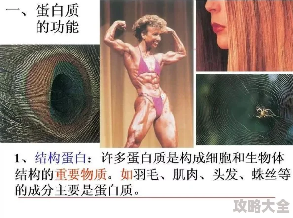 欧美18videosex初次画面尺度过大部分网友表示难以接受有人则认为艺术不必设限