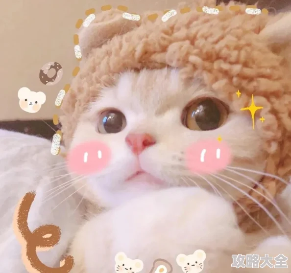 柚子猫yuzukitty糖心vlog可爱猫咪日常生活甜蜜瞬间分享