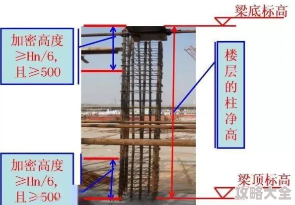 2024热门攻略：掌握一起来捉妖专属猫最新高效售卖方法与技巧