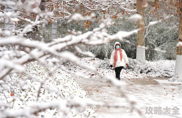 飘雪在线观看播放探索雪景浪漫与人情冷暖的诗意影像