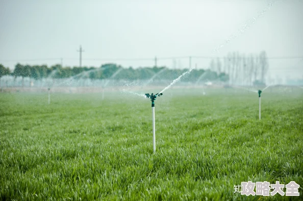 苏软软优质灌溉系统汉怡昏2025智能农业科技大会引领高效节水灌溉新风向