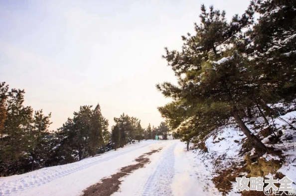 &quot;桃源深处有人家雪景喵趣玩法全攻略 雪景喵趣详细玩法指南&quot;是一份专为喜爱冬日乐趣的玩家准备的全面指南。该攻略深入探讨了如何在雪景喵趣这一游戏中尽情享受冬日乐趣，涵盖了游戏技巧、地图解析、角色设定等多方面的内容。本文将结合相关文献，为您详细解读这份攻略，帮助您在雪景喵趣的世界中畅游无阻。